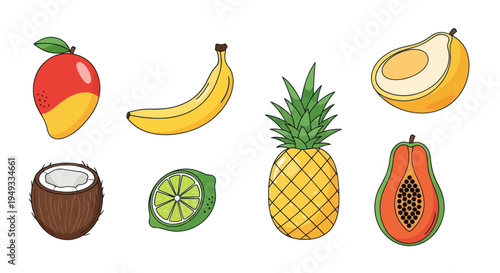Colorful tropical fruits illustration