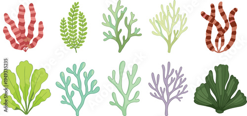 Whimsical Pastel Coral Vector Set with Striped Red Branching Corals, Mint Green Sea Fans, Leafy Algae and Purple Soft Corals, Cute Underwater Marine Plants Illustration for Kids and Nursery Designs