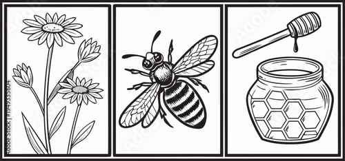 A detailed black and white illustration of various elements associated with bees and honey. The image showcases six distinct elements arranged in a rectangular grid. At the top left, a detailed fronta