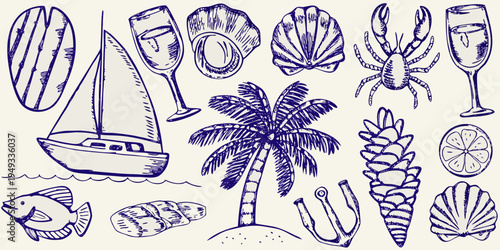 Hand drawn summer collection featuring nautical themes shells and tropical plants