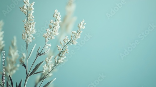 New Plant Sprout Grows in a Close-Up View Under Soft Lighting