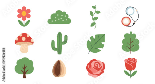 Colorful botanical icons and illustrations