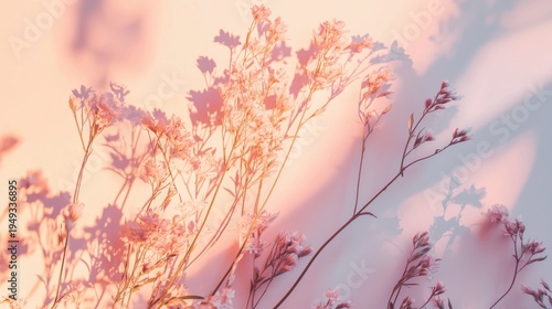 Flowers and Leaves Casting Shadows on a Pink Background During Daytime