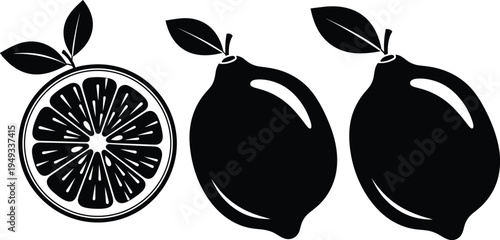 Detailed Black Tree Silhouette Set, Large Oak and Banyan Canopy Vector, Nature Botanical Elements for Landscaping, Environmental Green Forest Graphics.