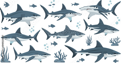 Vector illustration set of various shark species including great white tiger and hammerhead sharks with underwater elements like coral seaweed and bubbles isolated on white background