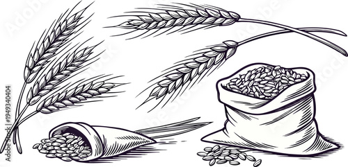 A detailed illustration in a vintage engraving style showcasing various elements associated with agriculture. Several wheat stalks and bundles of wheat are depicted alongside bags and scoops of grains