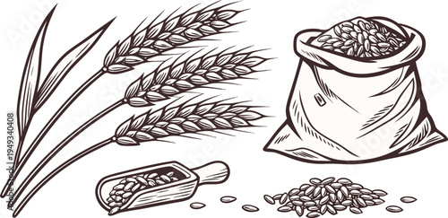 A detailed illustration in a vintage engraving style showcasing various elements associated with agriculture. Several wheat stalks and bundles of wheat are depicted alongside bags and scoops of grains