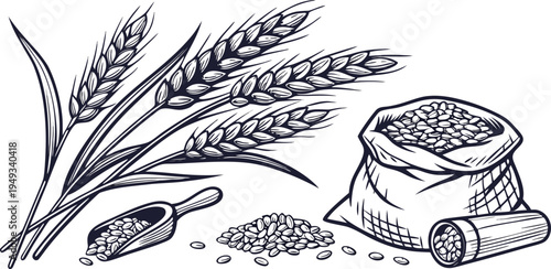 A detailed illustration in a vintage engraving style showcasing various elements associated with agriculture. Several wheat stalks and bundles of wheat are depicted alongside bags and scoops of grains