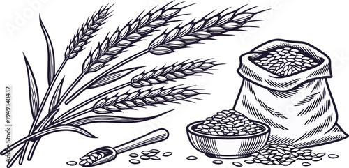 A detailed illustration in a vintage engraving style showcasing various elements associated with agriculture. Several wheat stalks and bundles of wheat are depicted alongside bags and scoops of grains