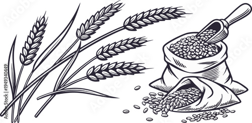 A detailed illustration in a vintage engraving style showcasing various elements associated with agriculture. Several wheat stalks and bundles of wheat are depicted alongside bags and scoops of grains