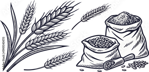 A detailed illustration in a vintage engraving style showcasing various elements associated with agriculture. Several wheat stalks and bundles of wheat are depicted alongside bags and scoops of grains