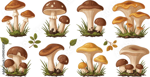 Forest Mushroom Collection Vector Illustration Set Featuring Different Wild Fungi Species Growing in Grass with Natural Woodland Plants and Botanical Elements