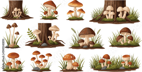 Wild Forest Mushroom Growing Near Tree Trunks Vector Collection Featuring Different Woodland Fungi with Grass, Moss, and Natural Botanical Elements