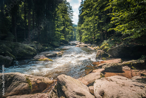 Clear mountain river Orlice flowing between large rocks and dense green forest in Orlicke Mountains, Czech Republic, illuminated by warm summer sunlight in a peaceful natural landscape.