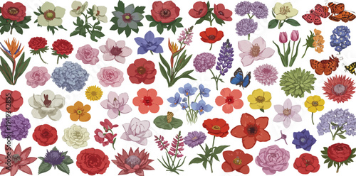 Colorful assorted flowers on white background with various petals and leaves
