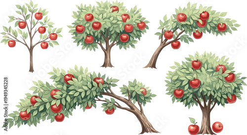Red Apple Tree Illustration Collection with Ripe Fruit Loaded Branches Lush Green Leaves and Varied Tree Shapes for Harvest Autumn Nature Organic Farming and Food Designs