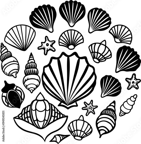 A detailed illustration showcasing various seashells, arranged in a visually engaging composition. The image displays diverse seashell types, each rendered with meticulous detail. The seashells exhibi