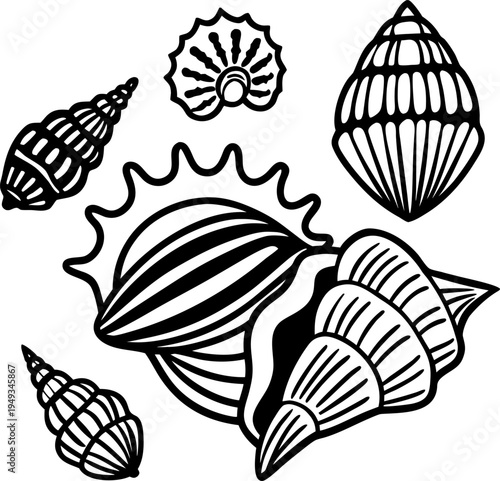 A detailed illustration showcasing various seashells, arranged in a visually engaging composition. The image displays diverse seashell types, each rendered with meticulous detail. The seashells exhibi