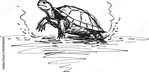 running turtle crossing water with ripples and splashes sketch drawing of turtle motion and nature