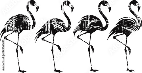 four standing flamingos silhouettes with textured grunge in black and white
