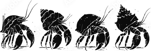 Silhouette of hermit crabs in various shell shapes and sizes, isolated on white background