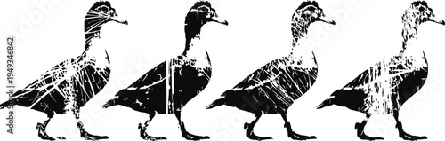 silhouette illustration of four walking ducks in a row with textured black and white