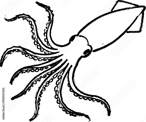 Detailed black and white squid illustration with extended tentacles and rounded head