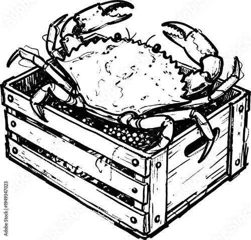 live crab in wooden crate seafood fresh marine life oceanic catch shellfish