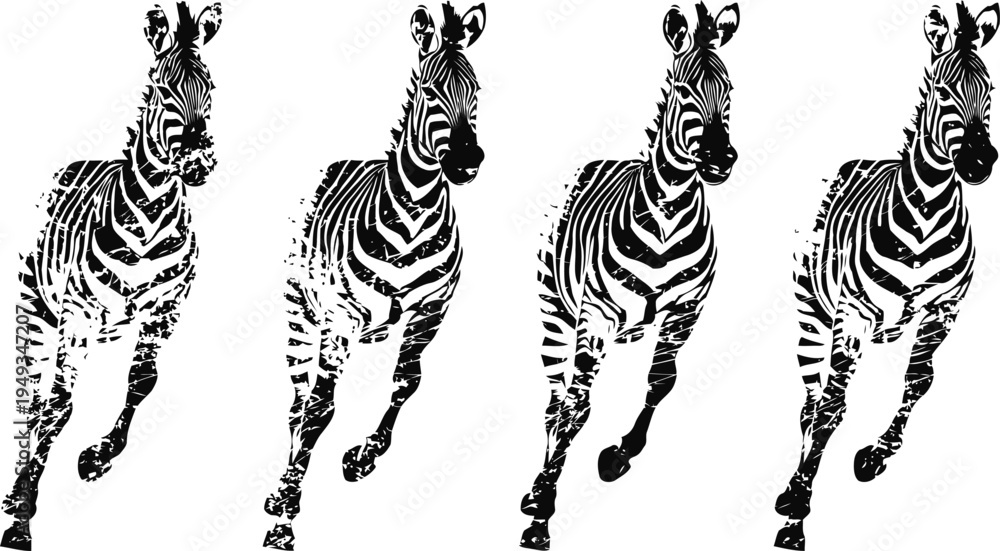 Fototapeta premium running zebras in black and white stripes, wild african animals in motion isolated on white background