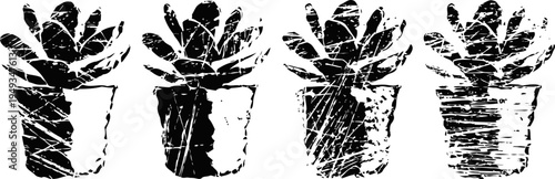 black grunge succulent cactus silhouettes set in square pots minimalist botanical plant illustration with distressed texture