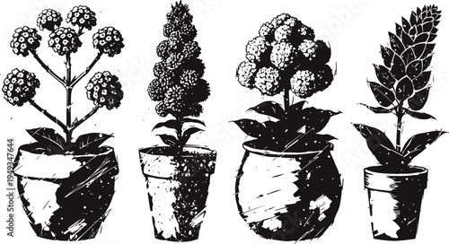 vintage ink drawing of potted plants with clustered flowers and broad leaves, botanical garden decoration
