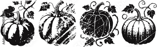 vintage pumpkin illustrations with leaves and vines autumn harvest botanical design elements