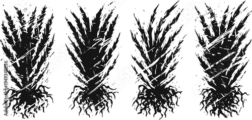 ivy leaves with roots black silhouette set climbing green plant isolated illustration nature symbol decoration design