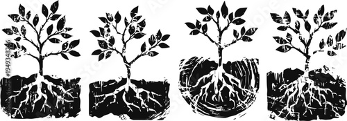 black and white illustration of tree saplings with visible roots in soil showing growth stages