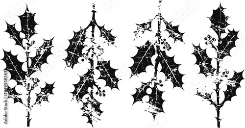 Black silhouette holly branches with berries set christmas decoration elements, winter holiday design