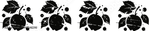 black silhouette raspberries with leaves and flowers pattern hand drawn berry fruit design