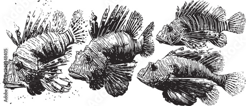 Lionfish group illustration tropical marine fish with striped spiny fins underwater sea life sketch