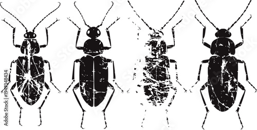 Four black beetle silhouettes arranged side by side on white background, insect vector illustration