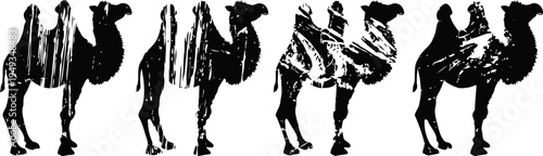 Four black silhouette camels walking in a row facing right on a white background