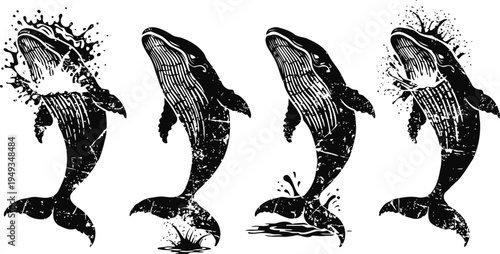 Whale silhouettes jumping from water with splash effect, ocean life and marine wildlife collection
