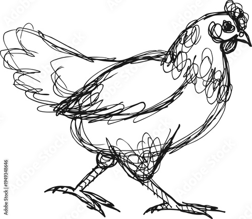 black ink sketch of a chicken walking hand drawn poultry outline, farm bird illustration and animal doodle in simple line art