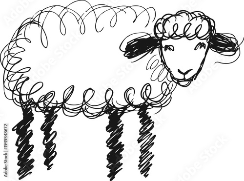 Hand drawn sheep illustration with curly wool and simple features in black ink sketch