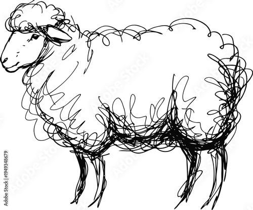 scribble line art of a fluffy sheep with curly wool and simple outline
