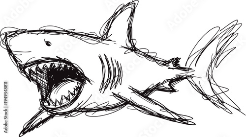 Aggressive shark sketch with open mouth and sharp teeth, hand drawn marine predator illustration