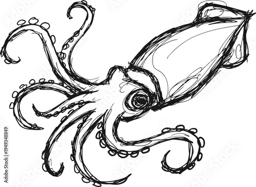 hand drawn squid sketch with detailed tentacles and elongated body marine animal illustration