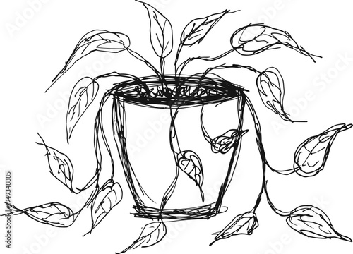 Potted trailing houseplant with long, curved leaves in simple hand drawn sketch