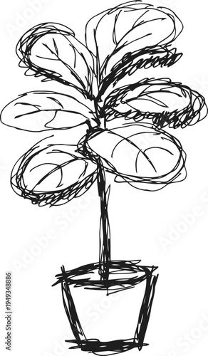 hand drawn sketch of houseplant in pot with large leaves, simple black ink illustration