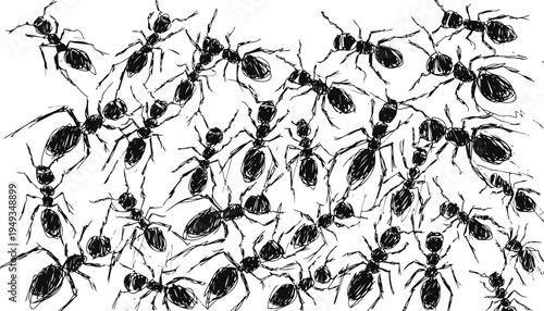 Swarm of black ants crawling isolated on white background, insect colony behavior close up