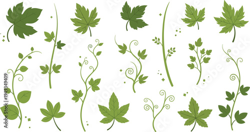 Hand drawn green vine leaves and climbing plant stems vector set with botanical foliage and garden tendrils for eco friendly nature designs.