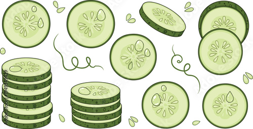 Fresh green cucumber slices and stacked rounds vector set with water drops and vine elements for healthy food and skincare.